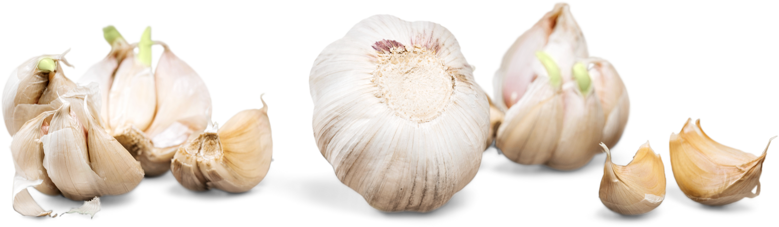 Vegetables Garlic Cloves Isolated