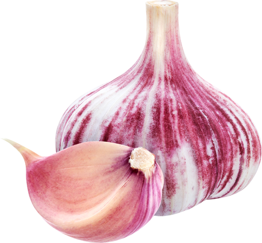 Garlic