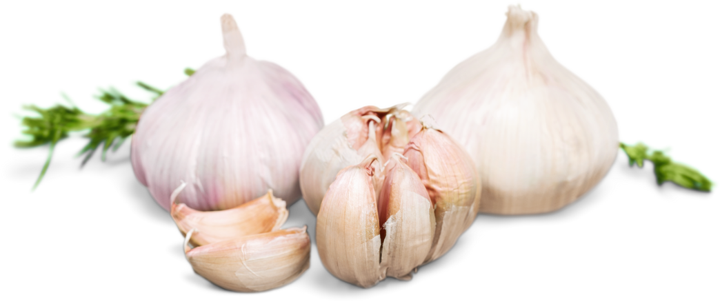 Cutout of Garlic